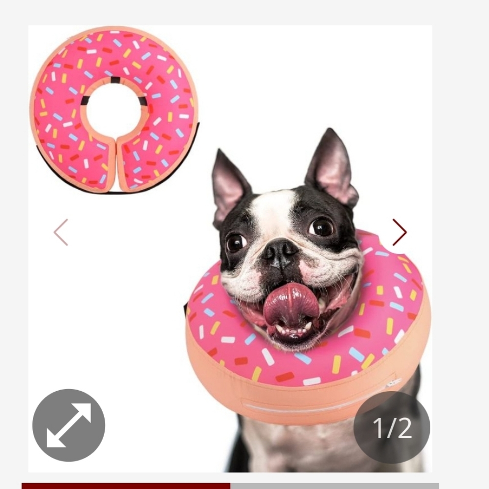 Dog/Cat cone collar  after surgery with pump